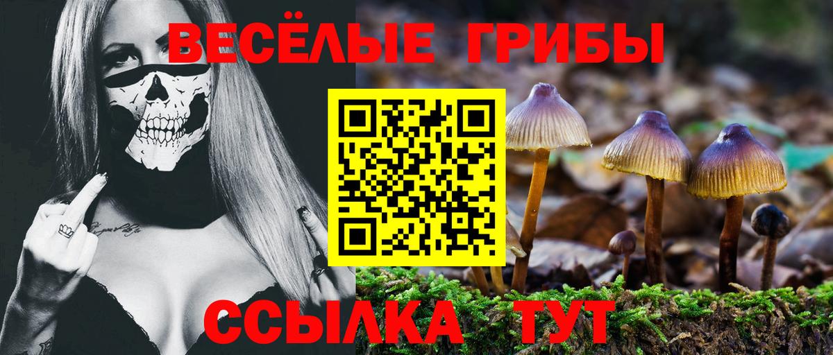 Псилоцибиновые грибы мухоморы  наркошоп  Минусинск  Галлюциногенные грибы мухоморы  Вход с VPN 